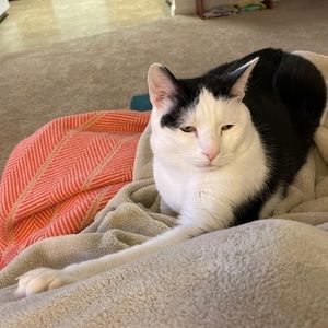 Meet your Posher, Hannah